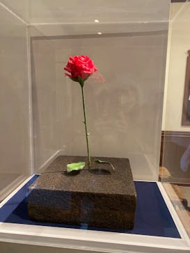 星の王子さまミュージアム 箱根サン=テグジュペリに投稿された画像（2023/2/14）