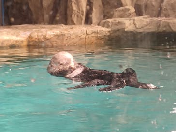 マリンワールド海の中道に投稿された画像（2023/2/14）