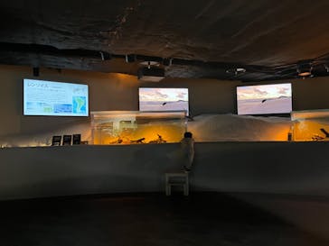 カワスイ 川崎⽔族館に投稿された画像（2023/2/14）