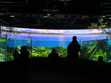 カワスイ 川崎⽔族館に投稿された画像（2023/2/14）