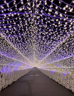 東京メガイルミに投稿された画像（2023/2/14）