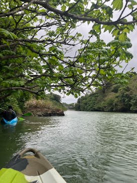 比謝川カヤックに投稿された画像（2023/2/14）