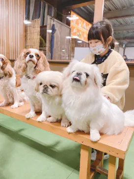 神戸どうぶつ王国に投稿された画像（2023/2/14）