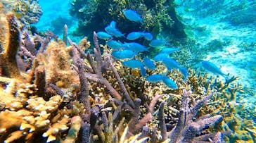 宮古島 ADVENTURE PiPi（ミヤコジマ アドベンチャー ピピ）に投稿された画像（2023/2/14）