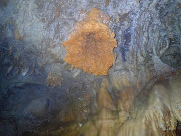 宮古島 ADVENTURE PiPi（ミヤコジマ アドベンチャー ピピ）に投稿された画像（2023/2/14）