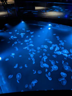 すみだ水族館に投稿された画像（2023/2/14）