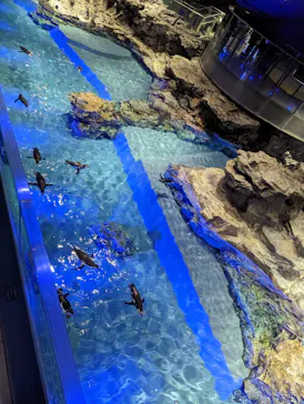 すみだ水族館に投稿された画像（2023/2/14）