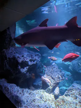 すみだ水族館に投稿された画像（2023/2/14）