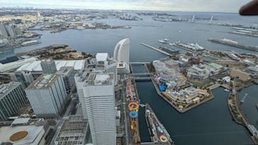 横浜ランドマークタワー 69階展望フロア スカイガーデンに投稿された画像（2023/2/14）