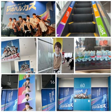 ハルカス300(展望台)に投稿された画像（2023/2/14）