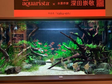 カワスイ 川崎⽔族館に投稿された画像（2023/2/14）