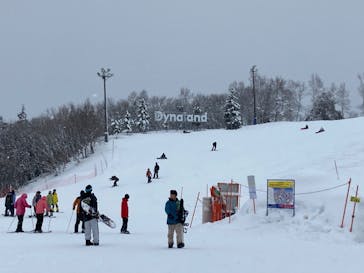 ダイナランドに投稿された画像（2023/2/14）