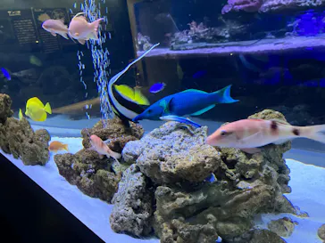 すみだ水族館に投稿された画像（2023/2/14）