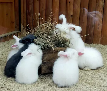 神戸どうぶつ王国に投稿された画像（2023/2/14）