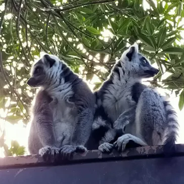 神戸どうぶつ王国に投稿された画像（2023/2/14）