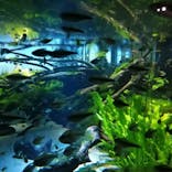 カワスイ 川崎⽔族館に投稿された画像（2023/2/14）