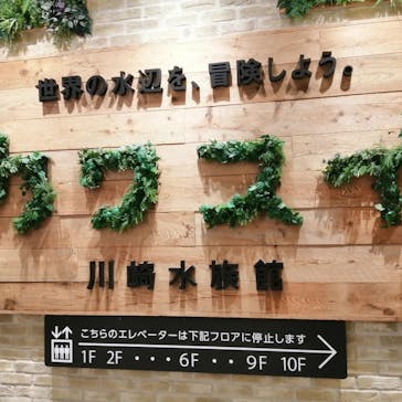 カワスイ 川崎⽔族館に投稿された画像（2023/2/14）