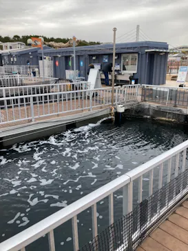 横浜・八景島シーパラダイスに投稿された画像（2023/2/14）