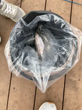 横浜・八景島シーパラダイスに投稿された画像（2023/2/14）