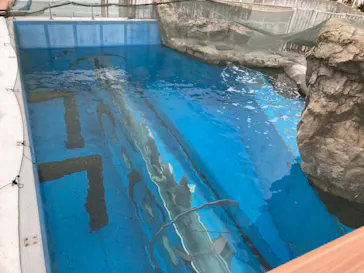 横浜・八景島シーパラダイスに投稿された画像（2023/2/14）