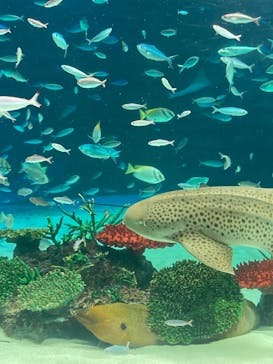 サンシャイン水族館に投稿された画像（2023/2/14）