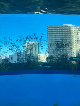 サンシャイン水族館に投稿された画像（2023/2/14）