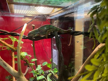 カワスイ 川崎⽔族館に投稿された画像（2023/2/14）