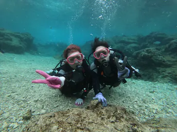 武藤潜水に投稿された画像（2023/2/15）