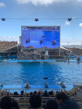 名古屋港水族館に投稿された画像（2023/2/15）