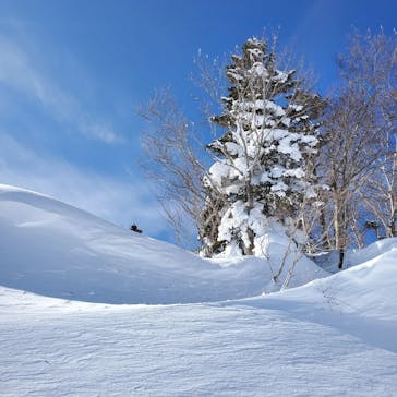安比高原スキー場に投稿された画像（2023/2/15）