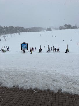 スキージャム勝山に投稿された画像（2023/2/15）