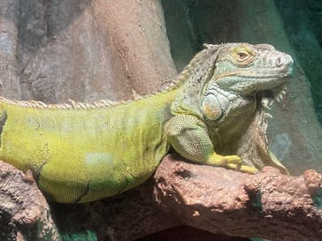 サンシャイン水族館に投稿された画像（2023/2/15）