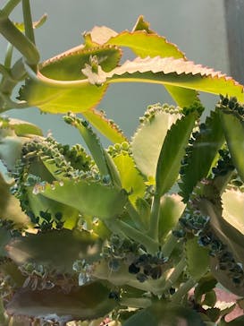 サンシャイン水族館に投稿された画像（2023/2/15）