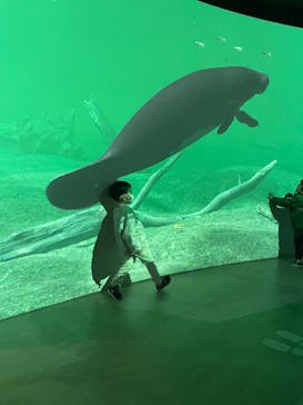 カワスイ 川崎⽔族館に投稿された画像（2023/2/15）