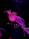 京都水族館に投稿された画像（2023/2/15）