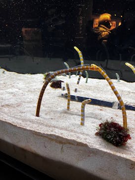 京都水族館に投稿された画像（2023/2/15）