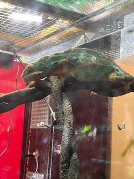 カワスイ 川崎⽔族館に投稿された画像（2023/2/15）