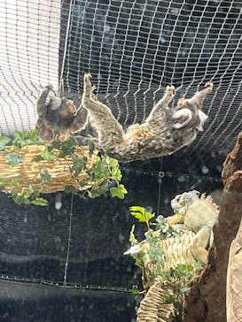 カワスイ 川崎⽔族館に投稿された画像（2023/2/15）