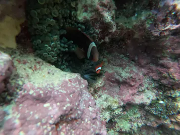 武藤潜水に投稿された画像（2023/2/15）