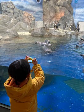 新江ノ島水族館に投稿された画像（2023/2/15）