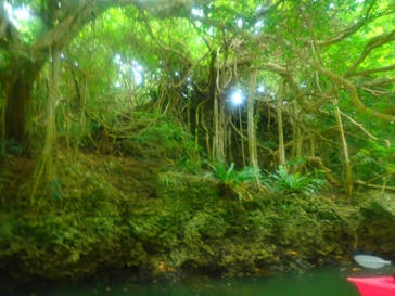 石垣島 ADVENTURE PiPi（イシガキジマアドベンチャーピピ）に投稿された画像（2023/2/15）