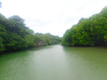 石垣島 ADVENTURE PiPi（イシガキジマアドベンチャーピピ）に投稿された画像（2023/2/15）