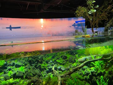 カワスイ 川崎⽔族館に投稿された画像（2023/2/15）