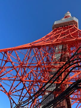 東京タワーに投稿された画像（2023/2/15）
