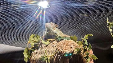 カワスイ 川崎⽔族館に投稿された画像（2023/2/15）