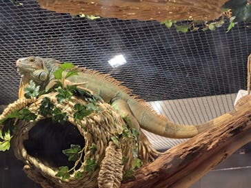 カワスイ 川崎⽔族館に投稿された画像（2023/2/15）