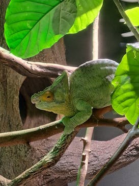 カワスイ 川崎⽔族館に投稿された画像（2023/2/15）