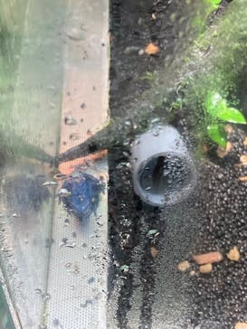 カワスイ 川崎⽔族館に投稿された画像（2023/2/15）