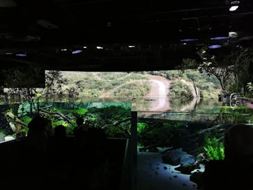 カワスイ 川崎⽔族館に投稿された画像（2023/2/15）