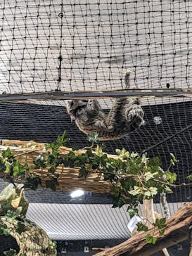 カワスイ 川崎⽔族館に投稿された画像（2023/2/15）